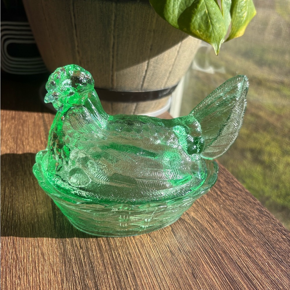 Green Hen on Nest